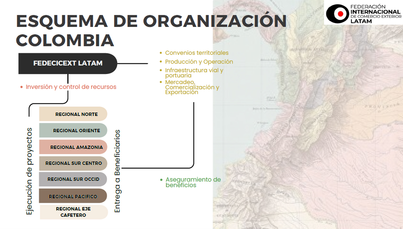 Esquema de organización 1