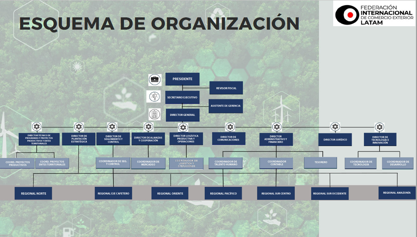 Esquema de organización 3